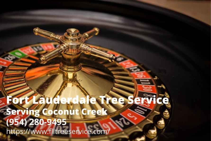 When you're in Florida and looking for a casino, you know where to go - Coconut Creek. They have dependable tree company there, too, delivering quality tree service by the name Fort Lauderdale Tree Service