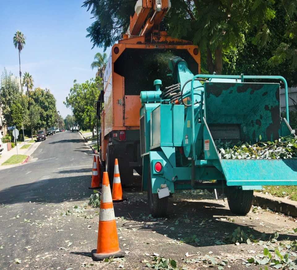 A street maintenance scene in Fort Lauderdale with a large orange truck and a green wood chipper parked by the roadside, flanked by traffic cones. Tree branches are scattered around, indicating recent trimming work.