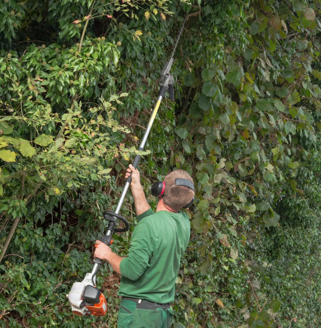 A man wearing a green uniform and protective headphones uses a long-handled hedge trimmer to cut green branches from trees as part of the tree services offered by Fort Lauderdale arborists.