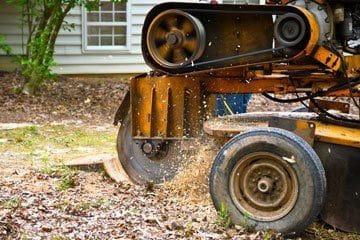 Our tree stump grinding machine in operation at Wilton Manors.