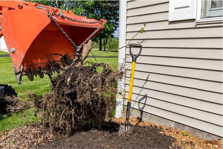 An excavator bucket filled with dirt and roots next to a house in Fort Lauderdale with a shovel leaning against the wall, indicating ongoing stump removal or landscaping.